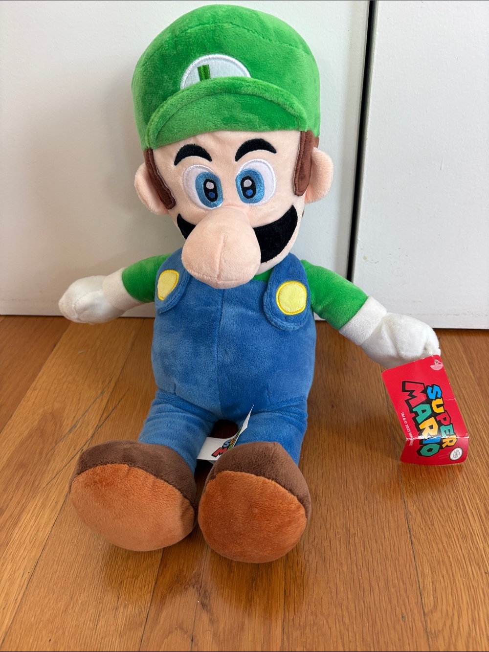 Super Mario Luigi Plush Toy - Green & Blue Cozy Cuddler